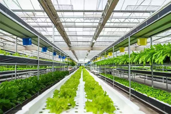 辽宁北能有机农业科技有限公司水培蔬菜温室