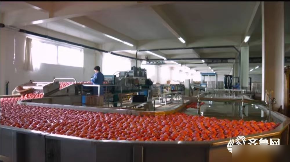 山东鲁一食品股份有限公司